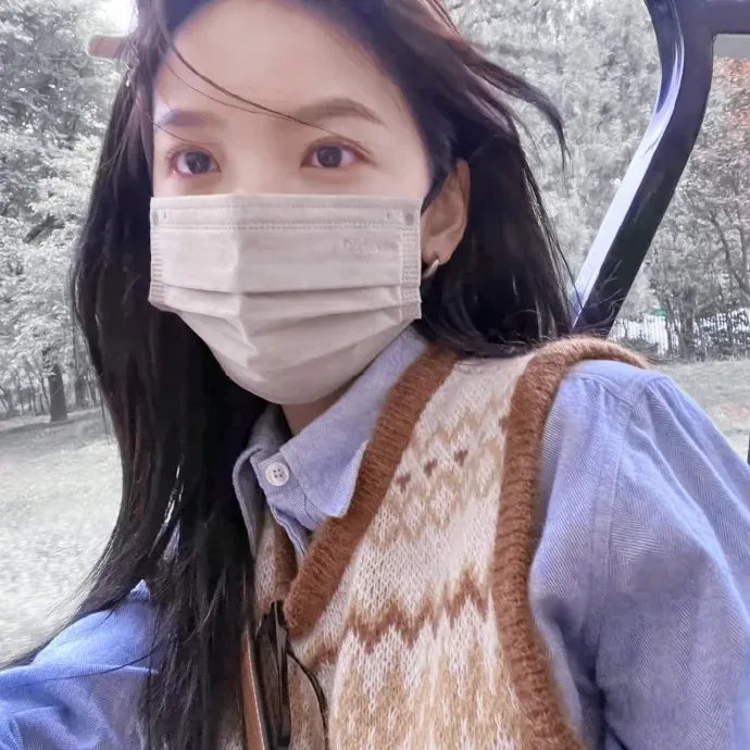 战鸽总动员
